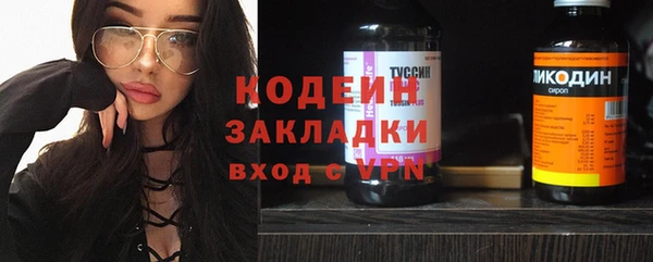 прущие грибы Балахна