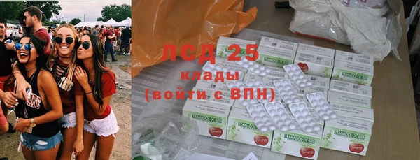прущие грибы Балахна