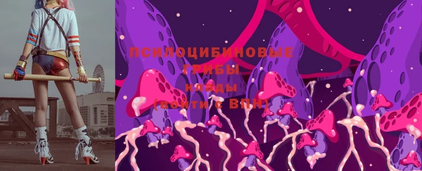 прущие грибы Балахна