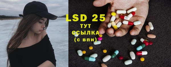 прущие грибы Балахна