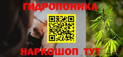 индика Нягань