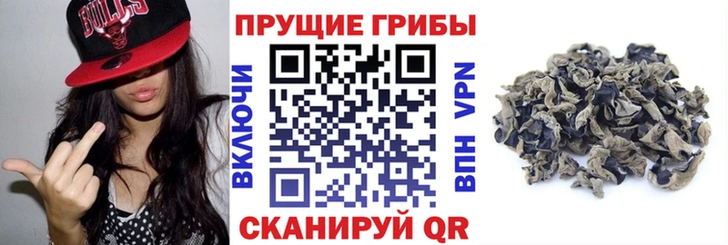 Псилоцибиновые грибы мухоморы  Ульяновск 